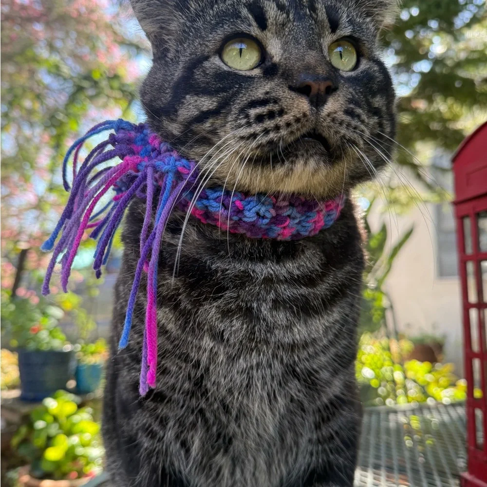 2 for 1 Cozy Cat / dog Scarf
